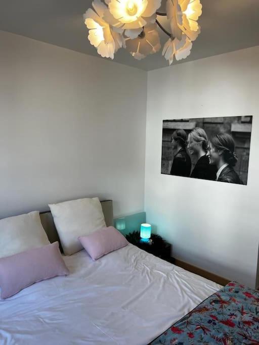 Les Pyou-Pyous Apartment Nancy Bagian luar foto
