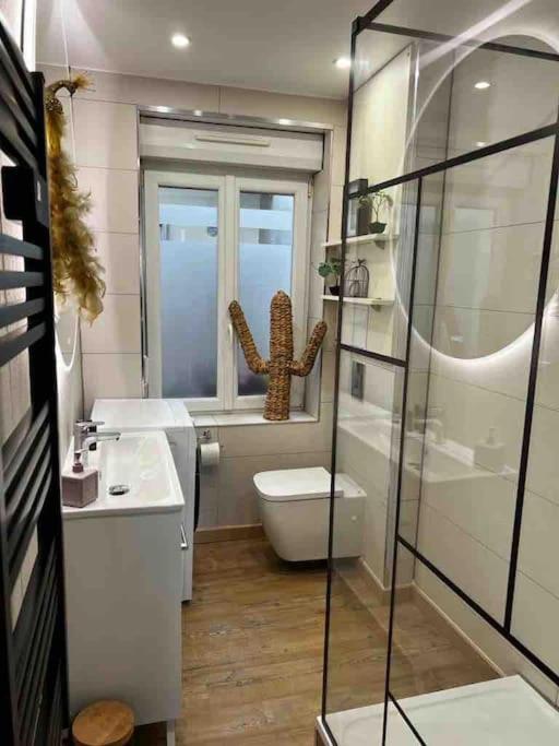 Les Pyou-Pyous Apartment Nancy Bagian luar foto